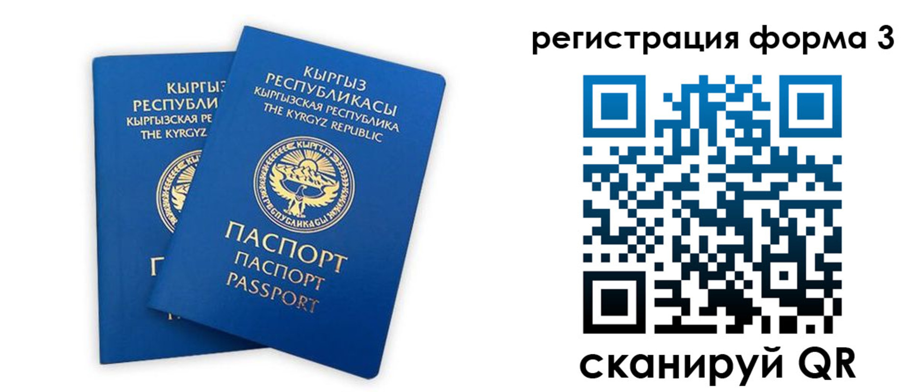 временная регистрация госуслуги в Псковской области